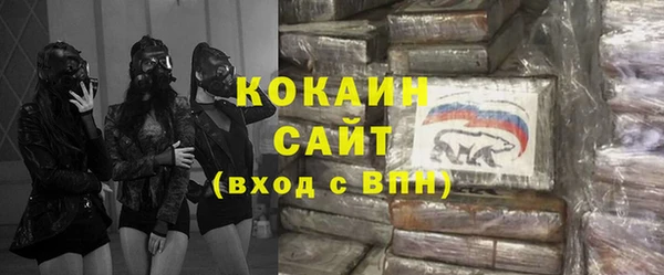 дмт Богородск
