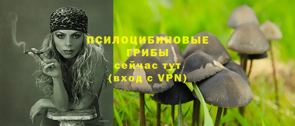 дмт Богородск